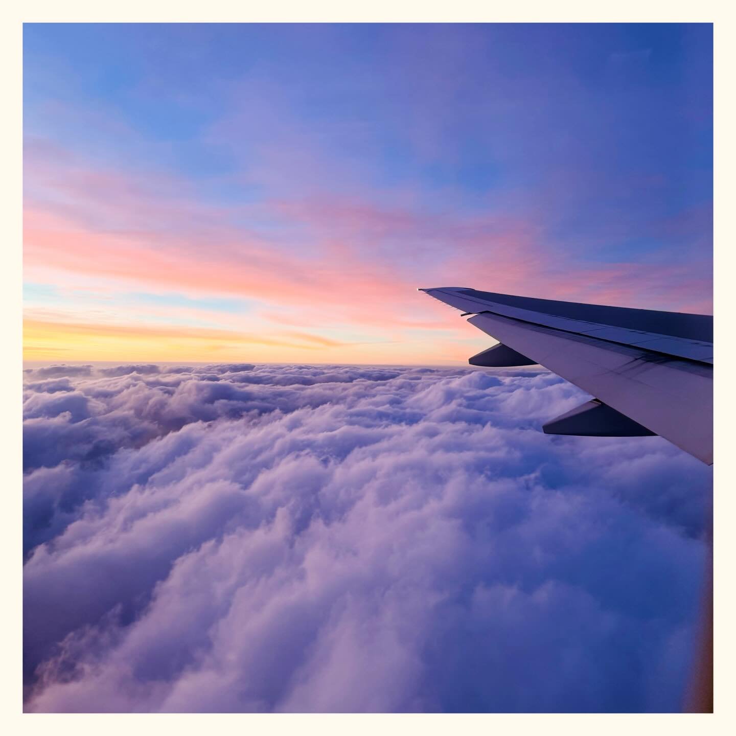 Today’s palette. ️ ️ ️